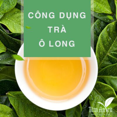 Trà Ô Long - Những điều cần biết về Ô Long?