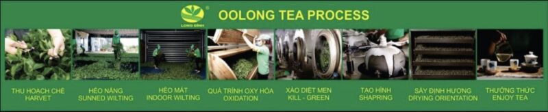 Quy Trình Sản Xuất Trà Ô Long