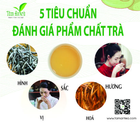 5 1TIEU CHUAN DANH GIA PHAM TRA